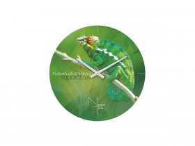 Часы настенные Nicole Time NT503 в Черском - cherskij.mebel-nsk.ru | фото
